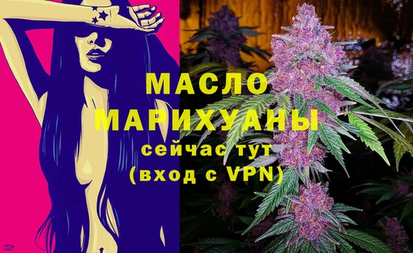 сатива Дмитриев
