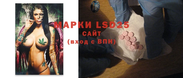 индика Дмитровск