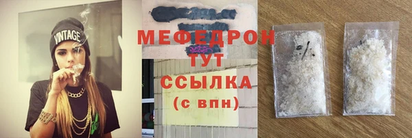 индика Дмитровск