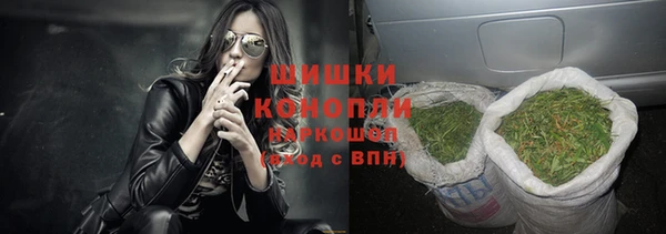 сатива Дмитриев