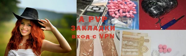 сатива Дмитриев