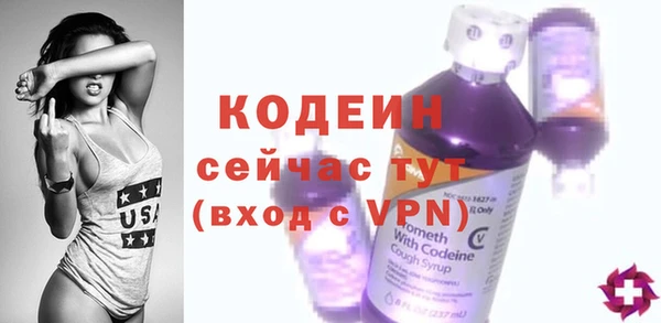 сатива Дмитриев