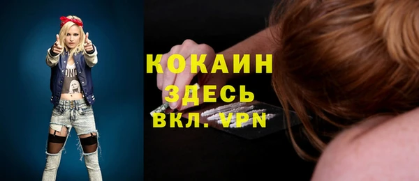 сатива Дмитриев