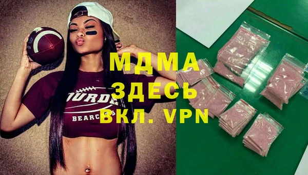 индика Дмитровск
