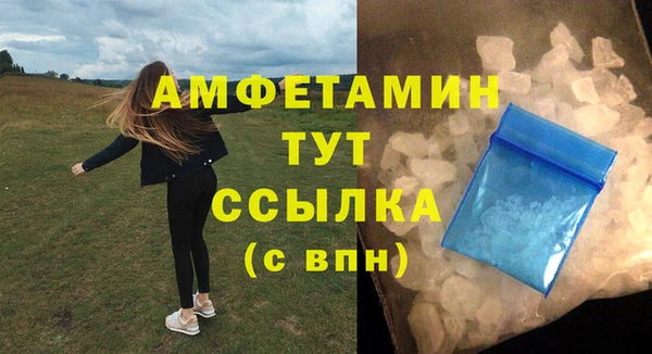 индика Дмитровск