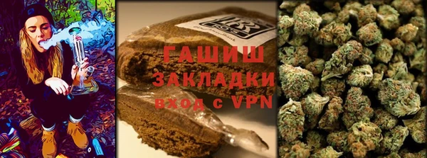 сатива Дмитриев