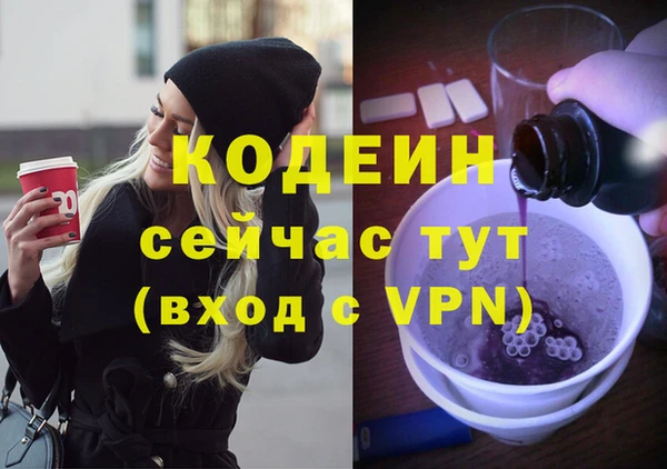 сатива Дмитриев