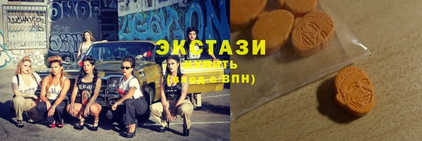 индика Дмитровск