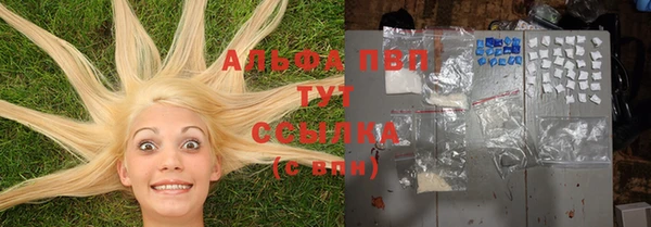 индика Дмитровск