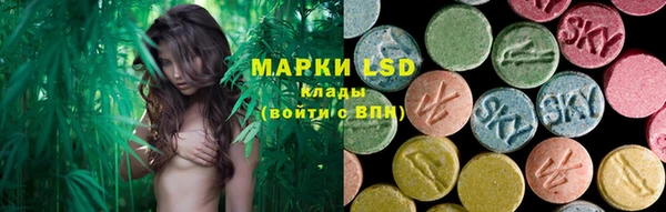индика Дмитровск