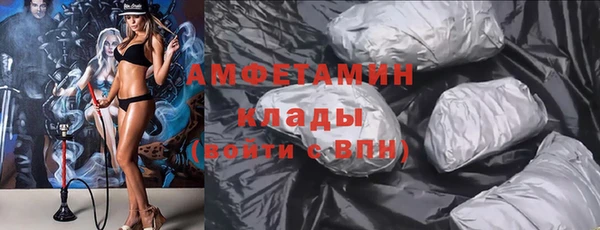 сатива Дмитриев