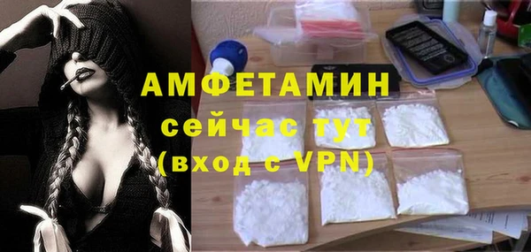 индика Дмитровск