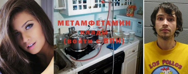 индика Дмитровск