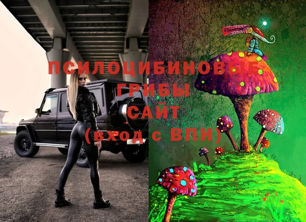 сатива Дмитриев