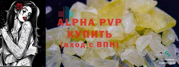 индика Дмитровск