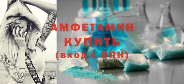 индика Дмитровск